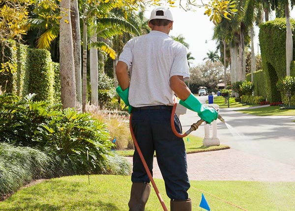About Sparkill NY Pest Control